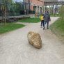 KoMex® Naturel in Beringen