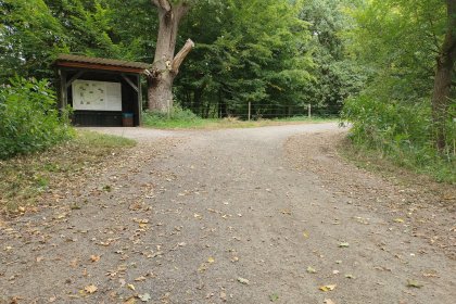 DurEko-mix® BIO à Versen