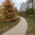 bospad KoMex naturel