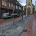 Boomspiegels halfverharding