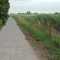 IMG_20250624_144238748_MFNR