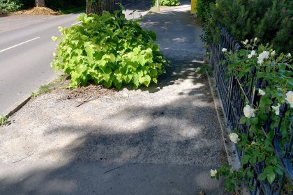 revêtement semi-dur à liant biologique