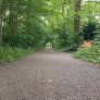 Sentier forestier DurEko-mix dans le parc Bürgermeister Bühner à Issum Sevelen