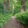 Sentier forestier DurEko-mix dans le parc Bürgermeister Bühner à Issum Sevelen