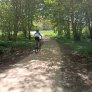 La forêt de Westerveld à Zwolle bénéficie d'un coup de pouce en matière de développement durable grâce aux sentiers de randonnée et pistes cyclables KoMex BIO Naturel