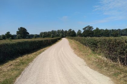 Route agricole KoMex BIO Naturel, Zuthem